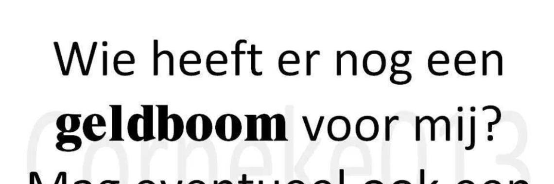 Why are the allowances of MPs so high? | Roodkapje