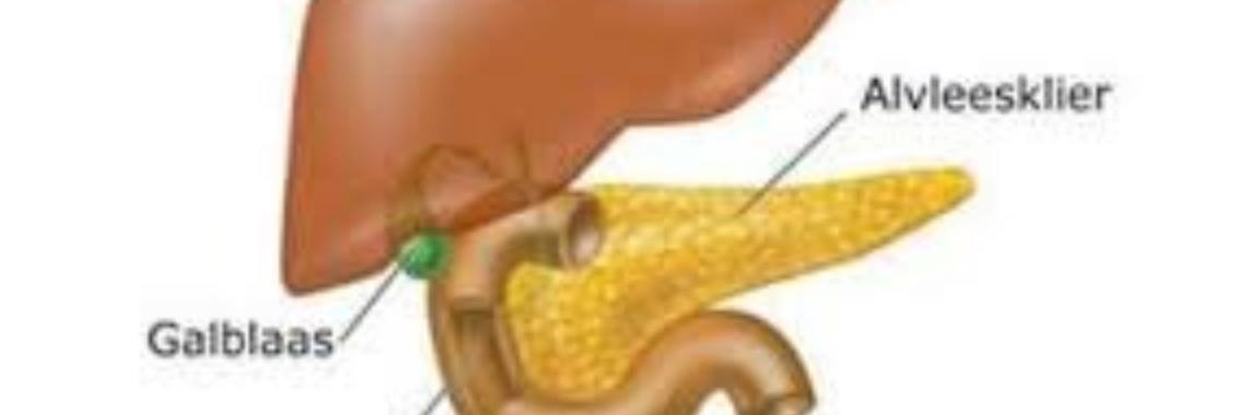 wat is een alvleesklierontsteking | Roodkapje