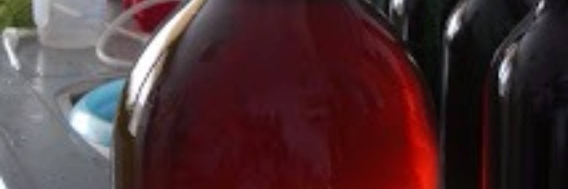 Wijn maken van je eigen druiven | Roodkapje