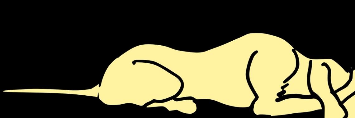 Revalideren | Machteld