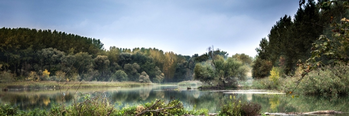 Rustplaats | Machteld