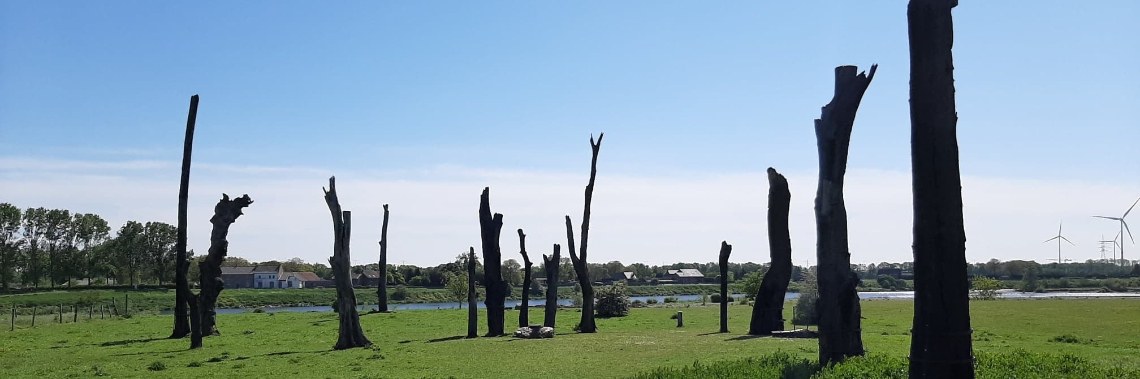 Woodhenge de bomencirkel van Meers | Diana
