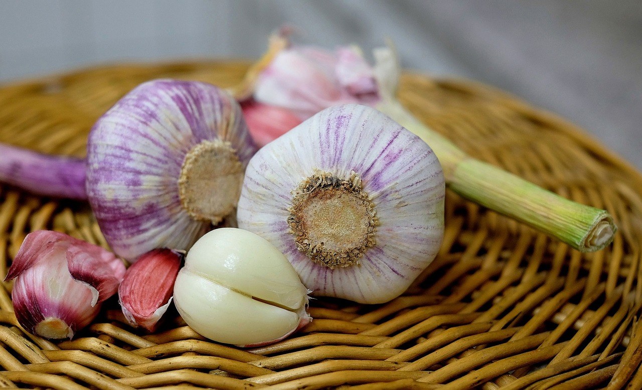 The Power of Garlic: Discover the Health Benefits of This Natural Antibiotic | Diana