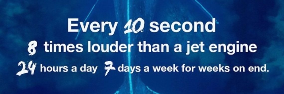 Stop seismische explosies in het Noordpoolgebied! | Peter Van De Griendt