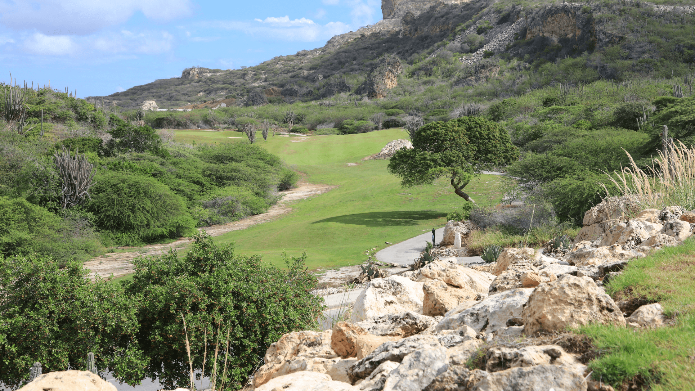 Best Golf Courses in Curaçao: Discover the Top Spots for Golfers | Curaçao HOW