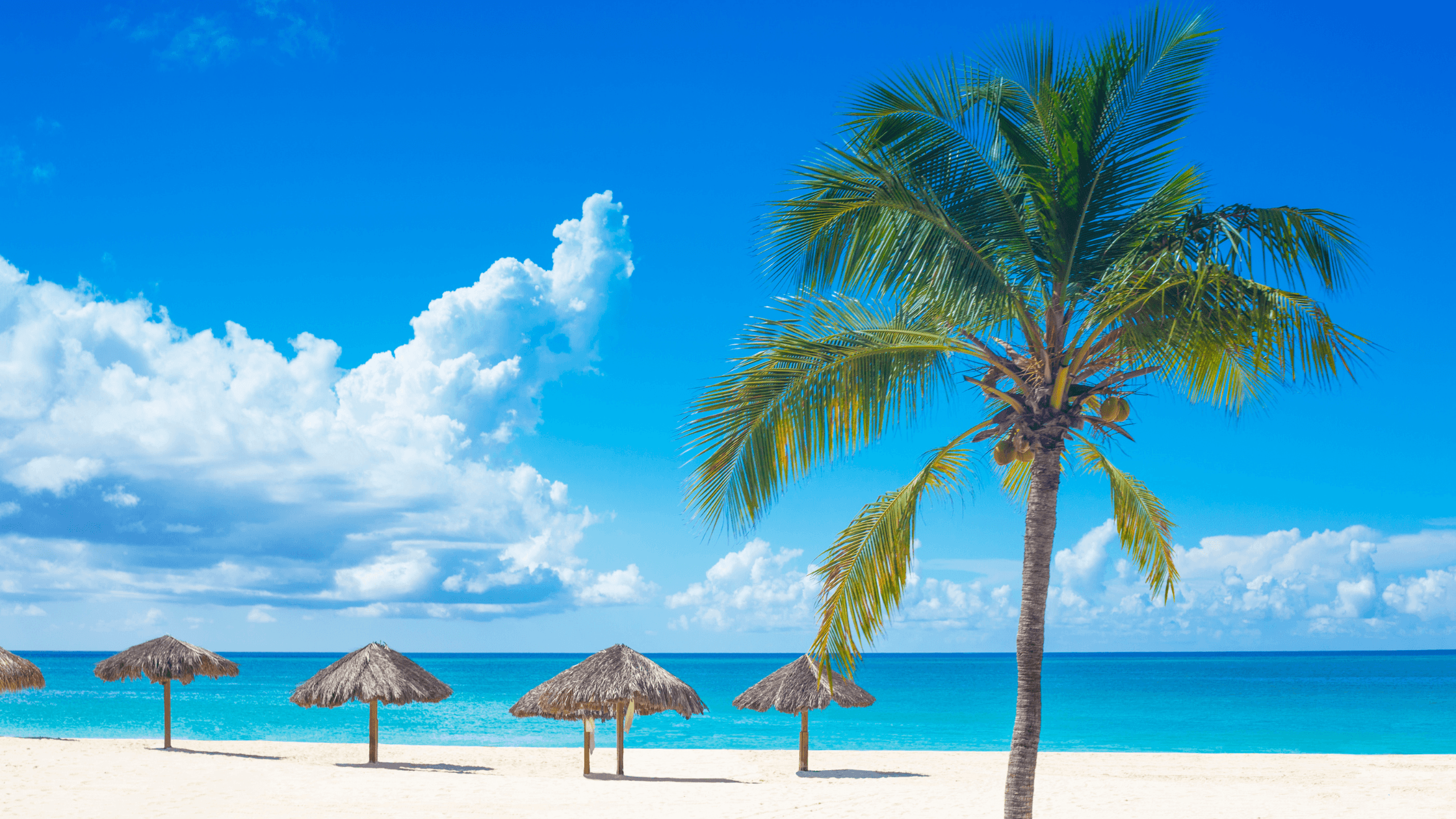 Boek jouw Curaçao-reis met Corendon: Luxe, Directe Vluchten en Aantrekkelijke Aanbiedingen | Curaçao HOW