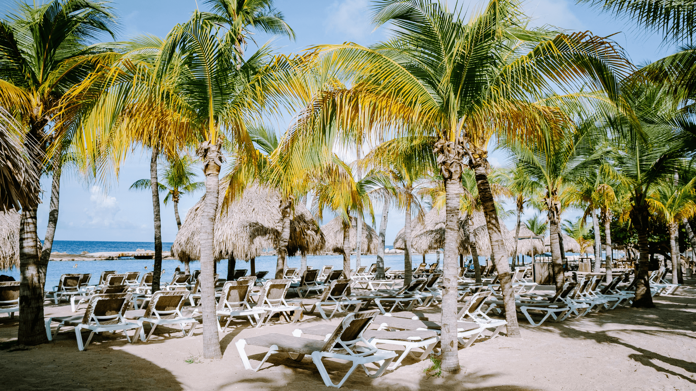 Mambo Beach Top 10 Activiteiten: Ontdek Wat Je Niet Mag Missen | Curaçao HOW