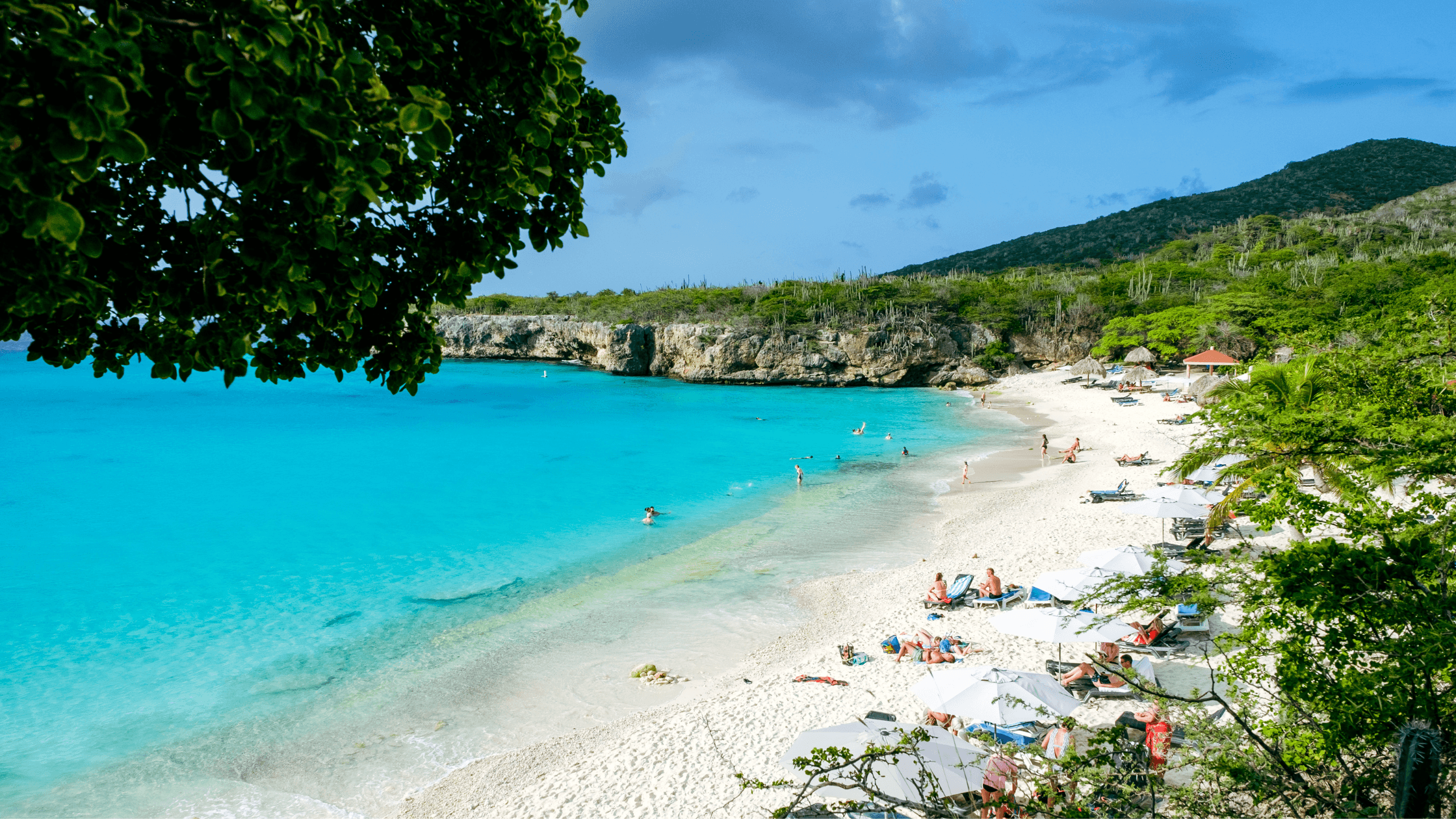 The Ultimate Curaçao Travel Guide: What You Need to Know Before You Go | Curaçao HOW