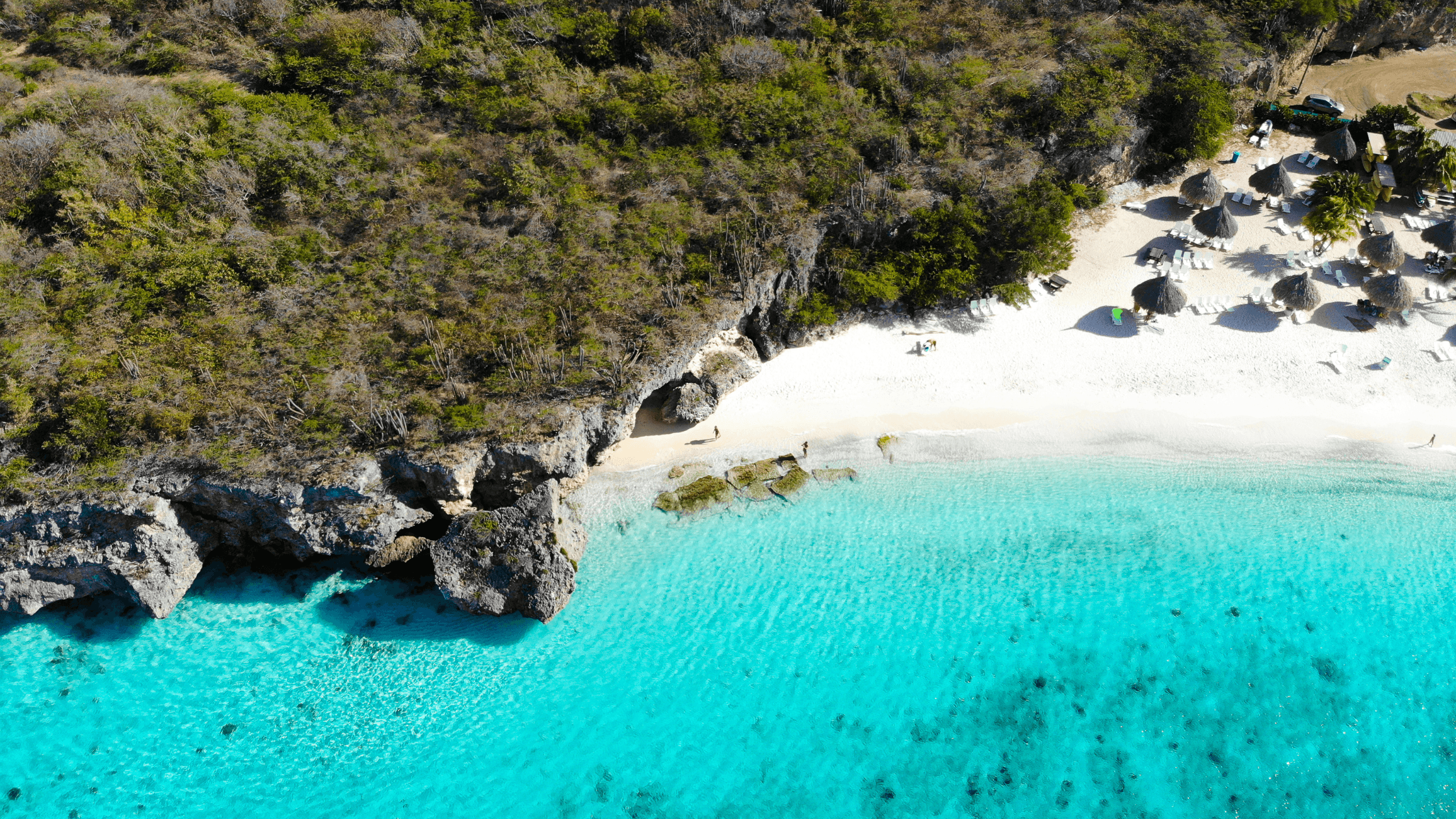 🌴 Curaçao vakantie 2025: Waarom dit tropisch eiland dé zomerhit is volgens Google | Curaçao HOW