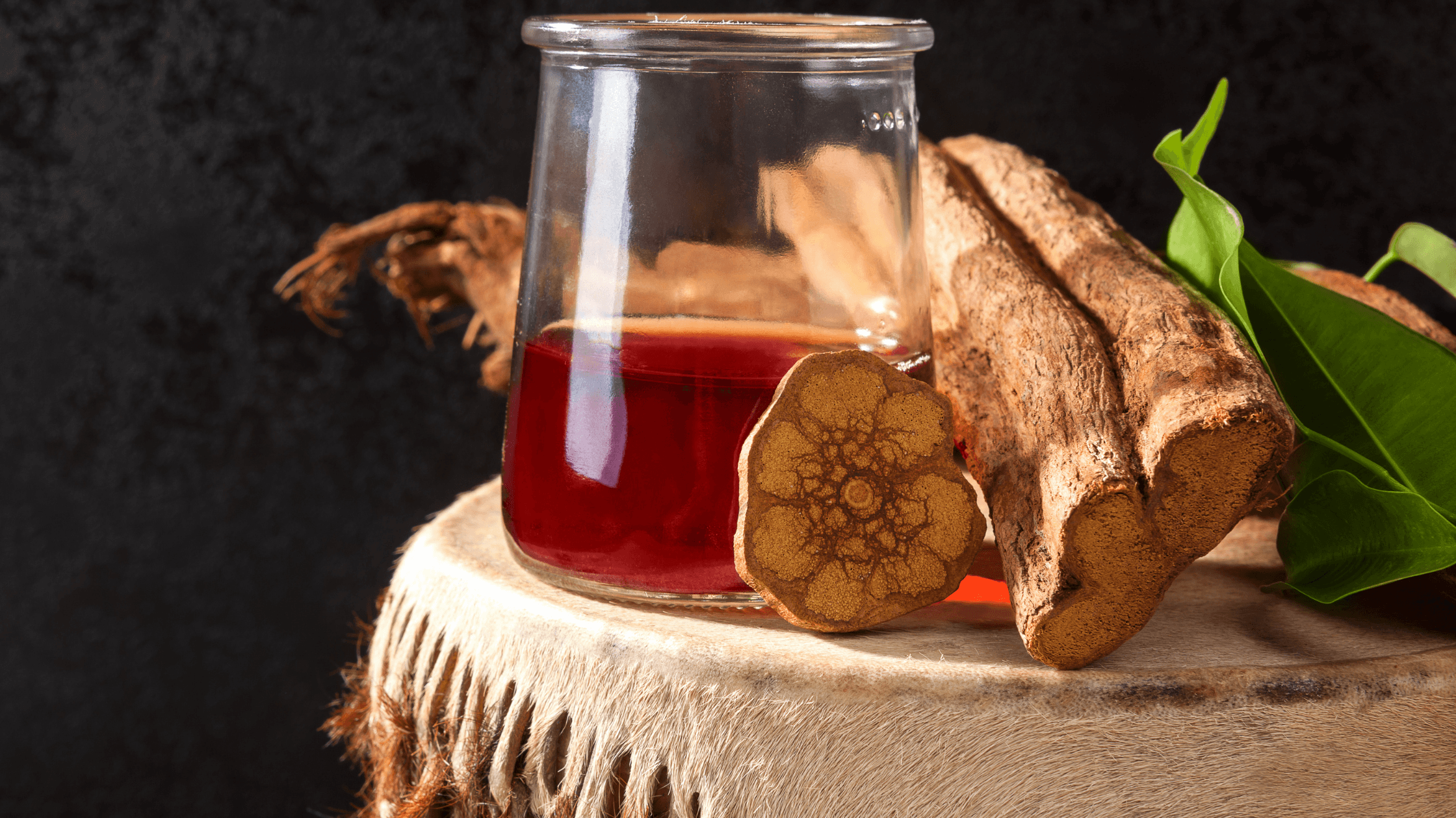 Ayahuasca Retreat Curaçao: Spiritual Awakening Awaits | Curaçao HOW