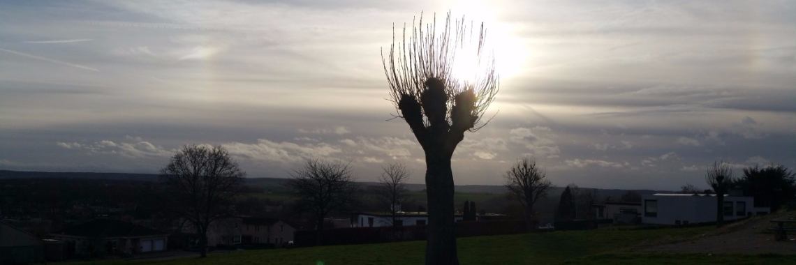 Het masker van depressie. | Kinga de Wit