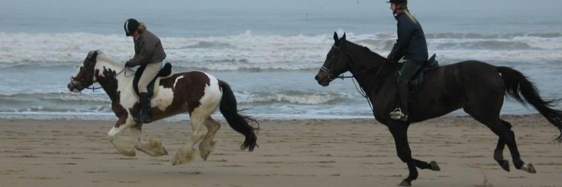 Keuzes, deel 4 | Kim WK