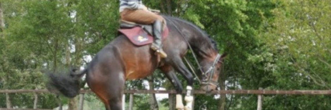 Keuzes deel 5 | Kim WK