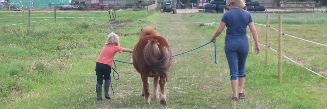 Keuzes, deel 8 | Kim WK