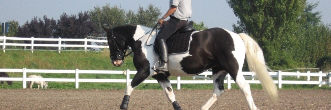 Keuzes, deel 9 | Kim WK