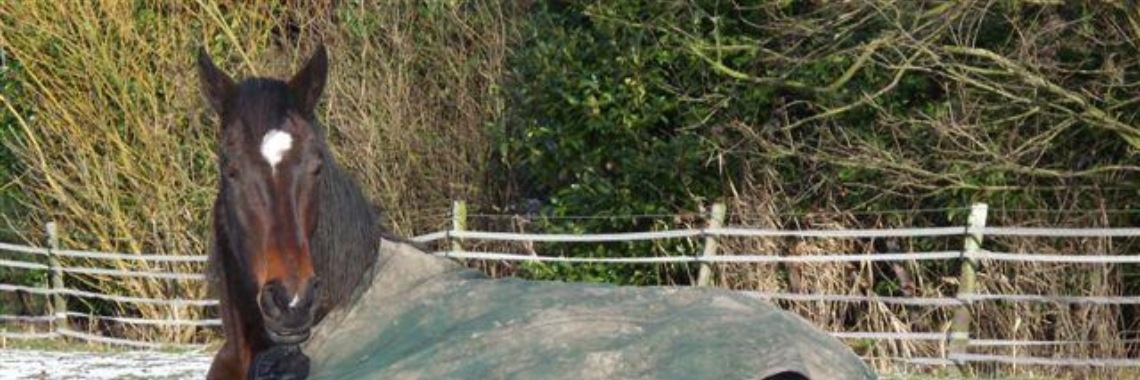 keuzes  volgverhaal, deel 1 en 2 | Kim WK