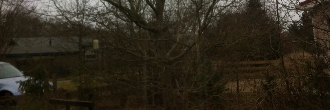 Sober kerstboompje | Creatief met Gea