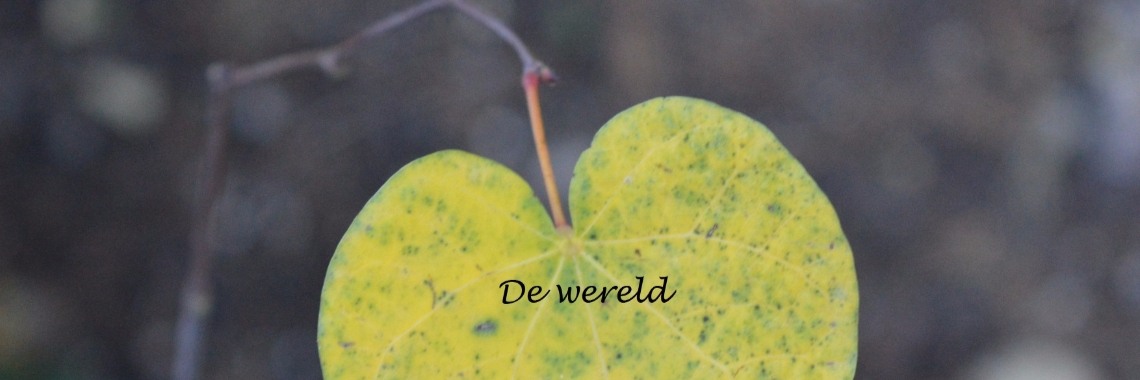 De wereld | CoteAimee