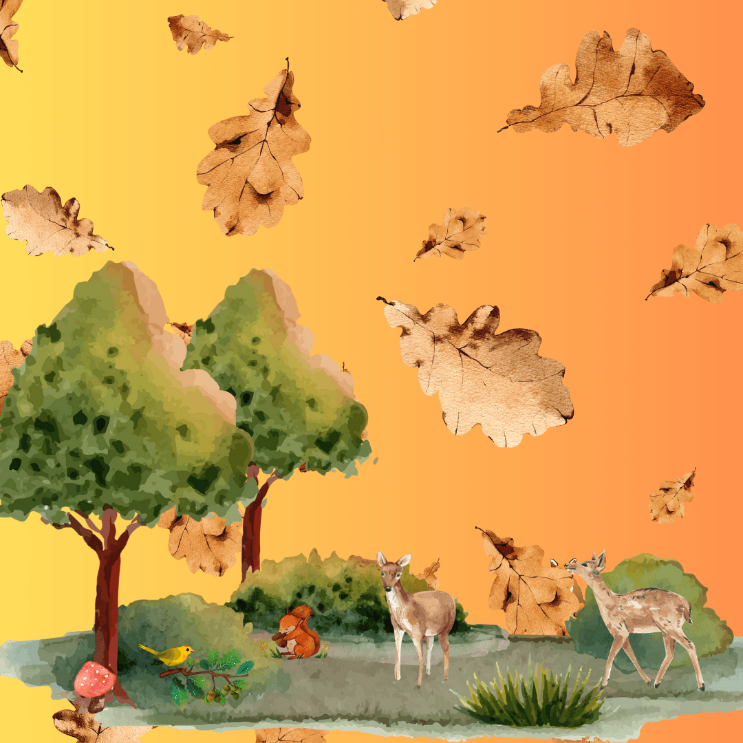 Eierstokkanker deel 30 - 20 augustus 2024 Vorig jaar was alles anders | ElisabethsMagazine