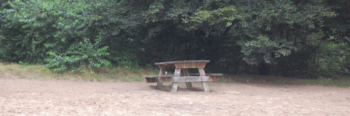 Er is plaats genoeg... | LWAlmanak