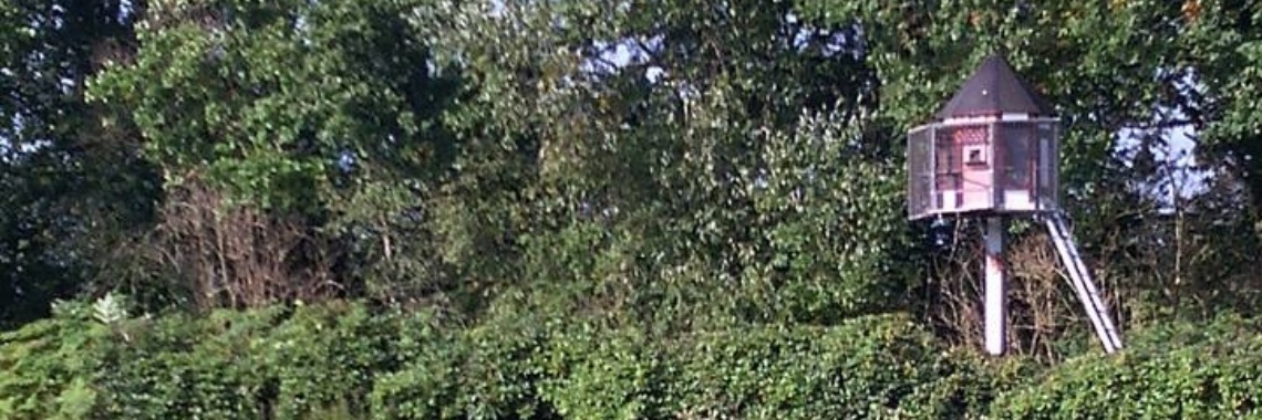 Geen kruisiging zonder Gethsemane! | LWAlmanak