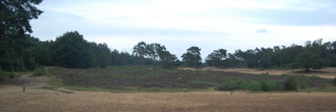 Over ziek zijn en zo... | LWAlmanak