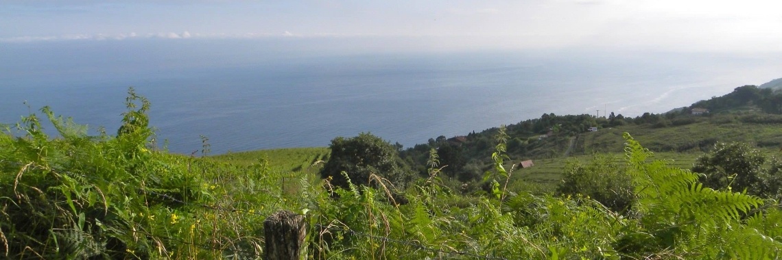 De Basken | Spourieloekie