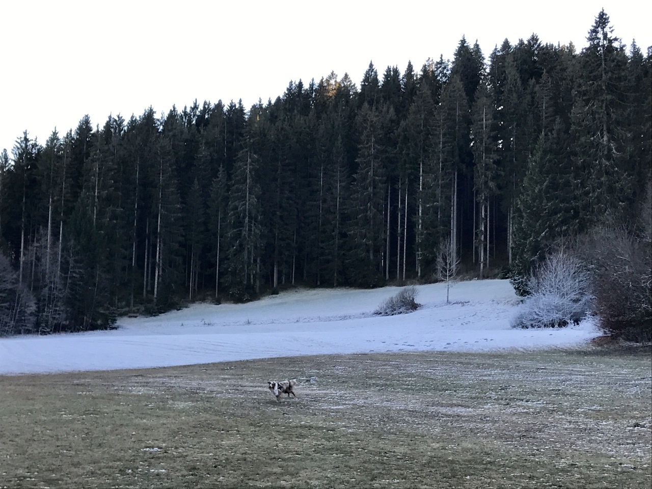 hotel brugger titisee neustadt