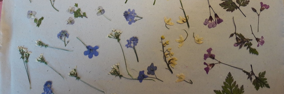 Echte bloemen en encaustic art, deel 2. Werkjes van de dag 19-6-2019 | Encaustichris