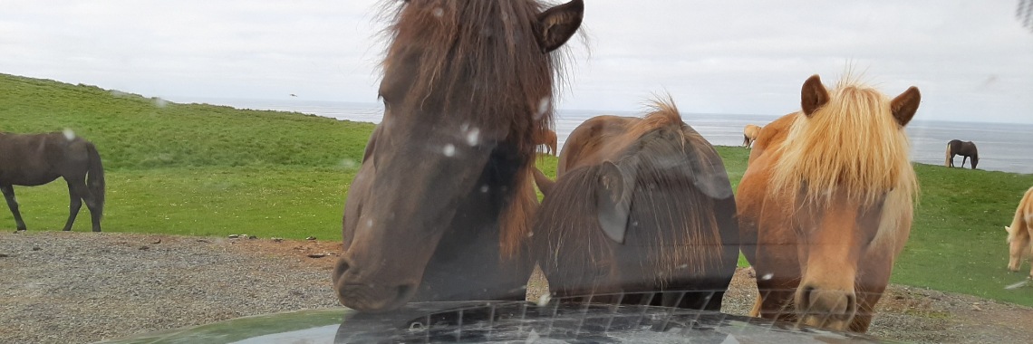 IJslandse carwash ;-) | Encaustichris