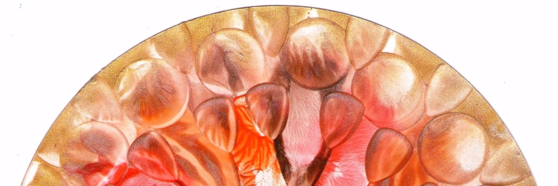 Mandala, werkje van de dag 16-2-2017 | Encaustichris