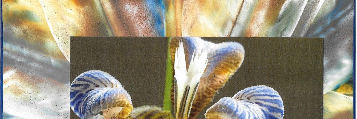 Picture framing met encaustic art: werkjes van de dag, 12-10-2019 | Encaustichris