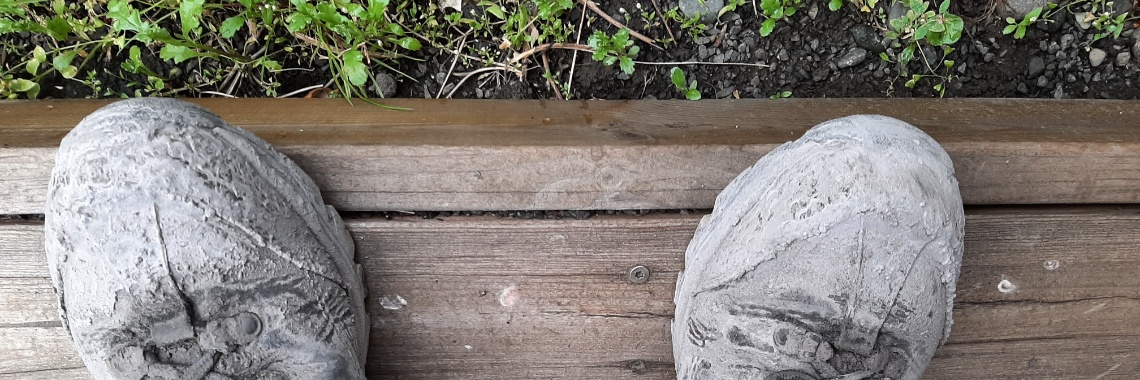 Vijftig tinten groen: De Langjökul Gletsjer: een lesje klimaatverandering? | Encaustichris
