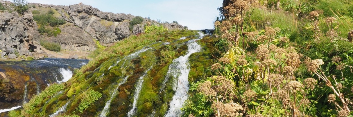 Vijftig tinten groen: IJsland | Encaustichris