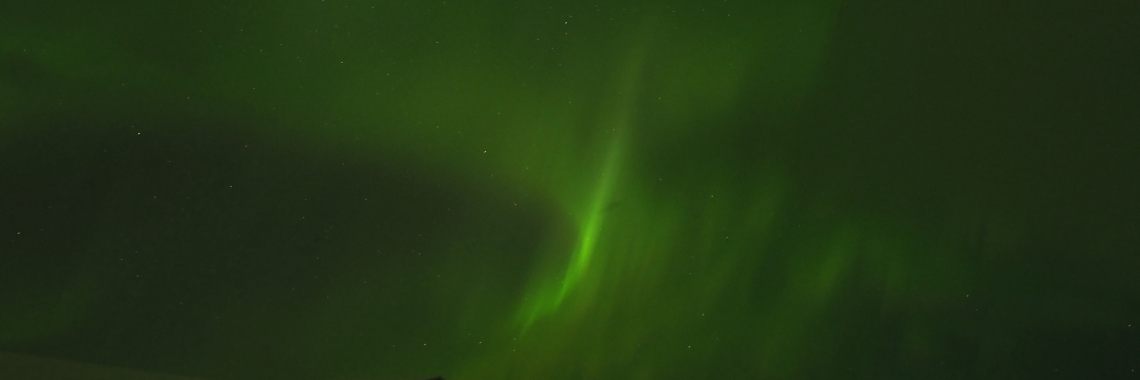 Vijftig tinten groen: Lady Aurora | Encaustichris