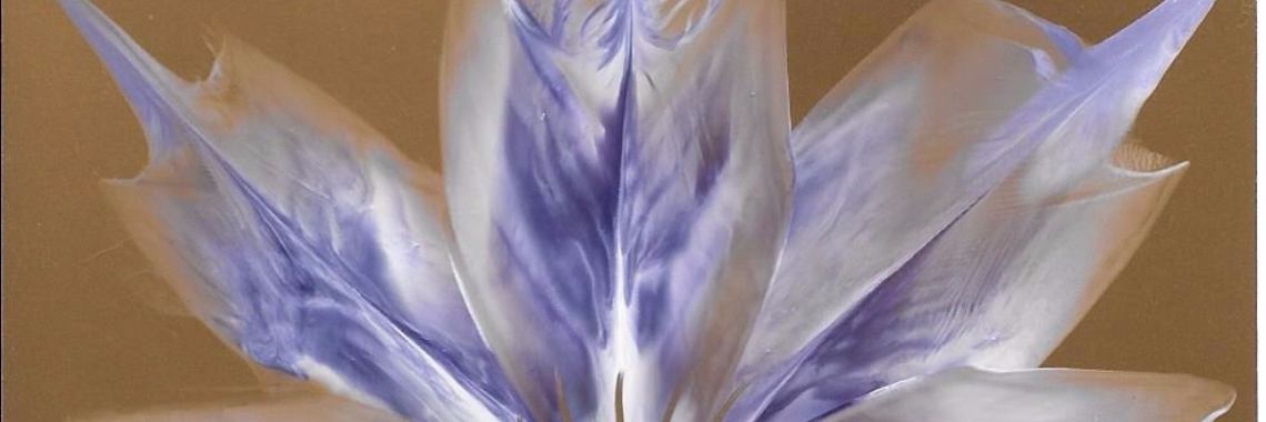 Werkje van de dag 25-12-'16 | Encaustichris