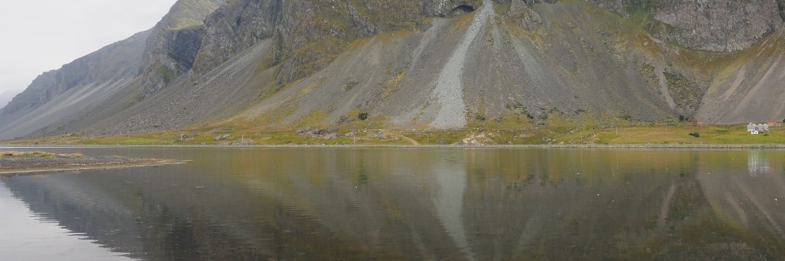 Fifty Shades of Green: Our Trip Through Iceland, Day 12: Route 938, 939 and 1 between Egilsstadir and Stafafell | Encaustichris