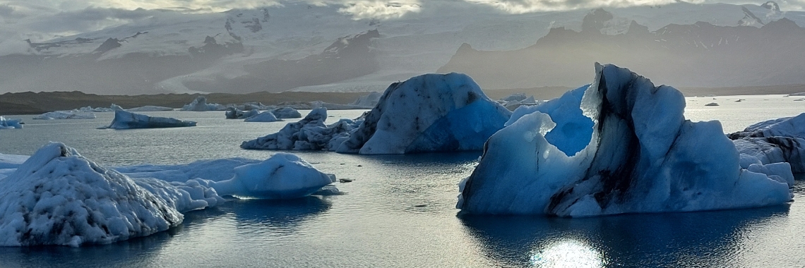 Vijftig tinten groen.... Onze reis door IJsland, dag 14, deel 2: Jökulsárlón en Diamond beach. | Encaustichris