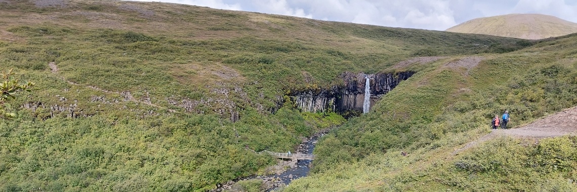 Vijftig tinten groen.... Onze reis door IJsland, dag 15: Svartifoss, Fjadrárgjüfur en Lady Aurora. | Encaustichris