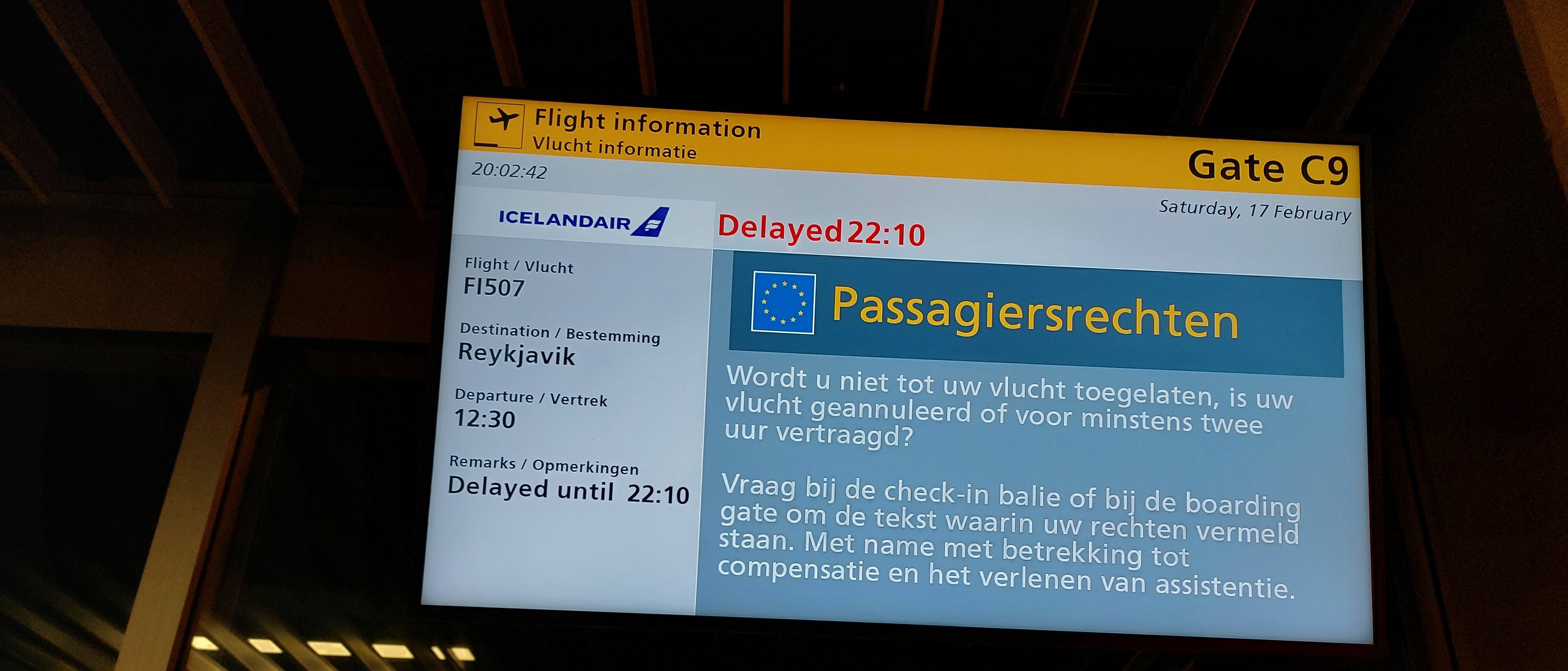 Vijftig tinten groen: Onze reis naar IJsland, februari 2024 | Encaustichris