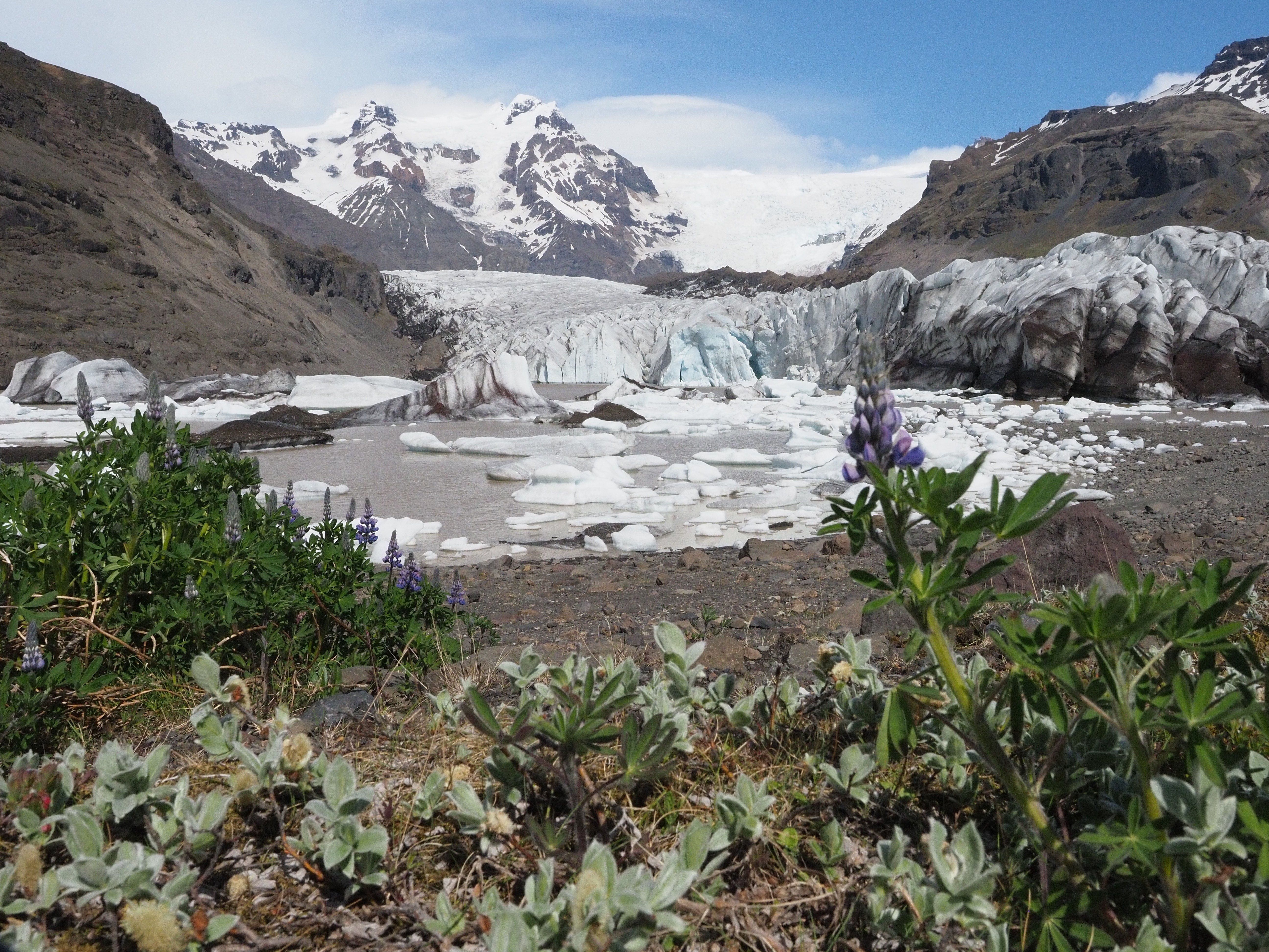 Vijftig tinten groen: 7 weken IJsland, dag 5: Gletsjermeren | Encaustichris