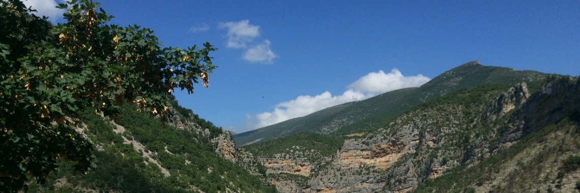 Zuid-Frankrijk | Lisanne de Zee