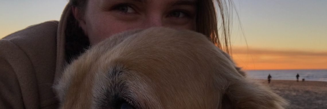 De dag van besef | Discover surroundings