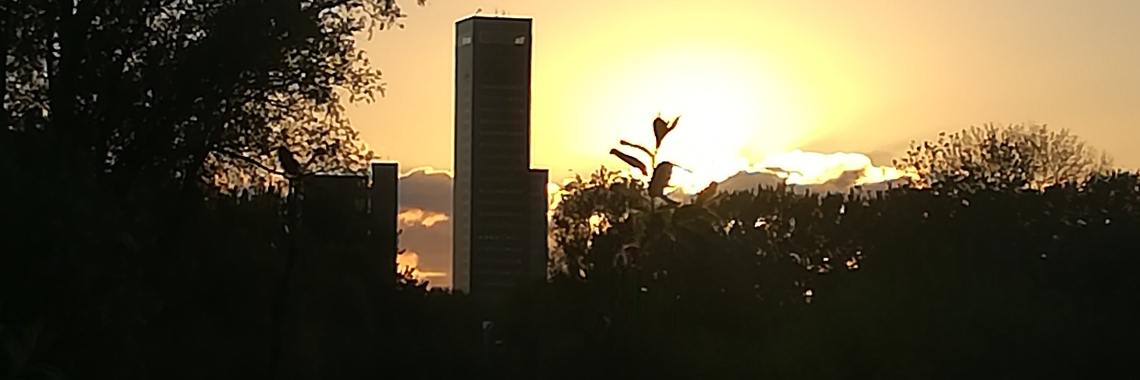 Avondzon | Piteke van der Meulen