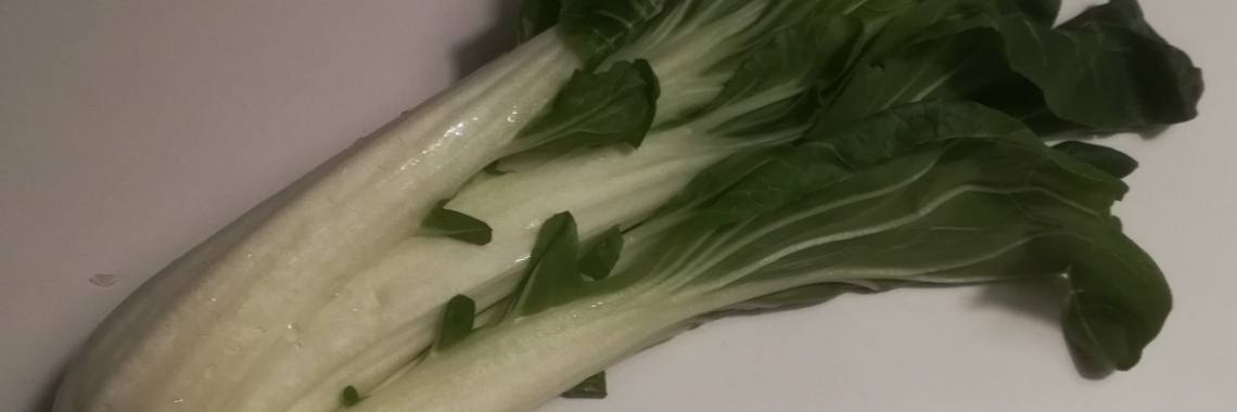 De geneeskracht van paksoi | Piteke van der Meulen