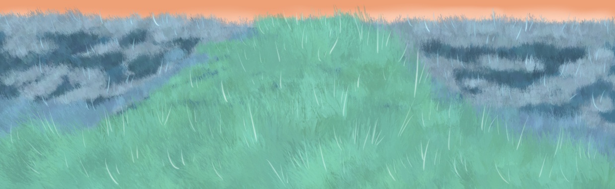 Gebruik jij je klantenpas vaak? | Piteke van der Meulen