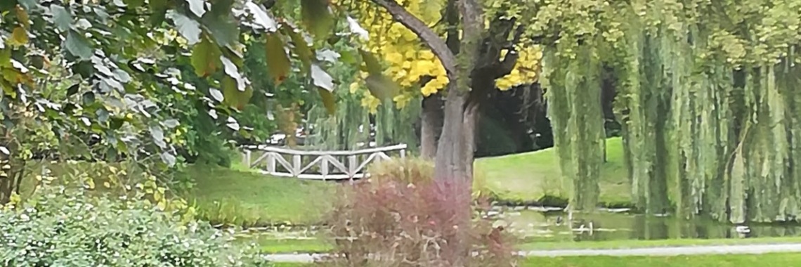 Geluk uit zonlicht halen | Piteke van der Meulen