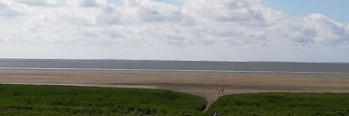 Het vuur in mijn hart - een Enriqeau | Piteke van der Meulen