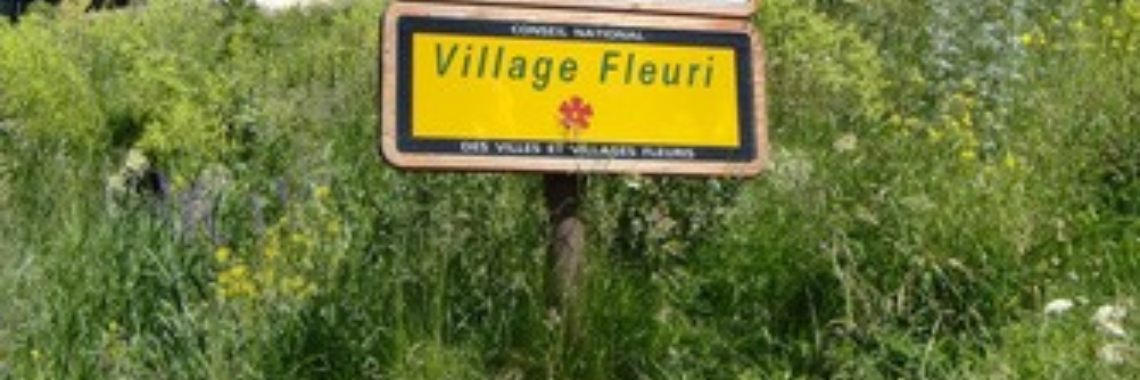 How often do you buy a bunch #bloemen? | Piteke van der Meulen