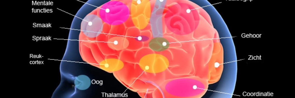 Je brein werkt beter als het rust krijgt, dus tijd om te ontfocussen | Piteke van der Meulen